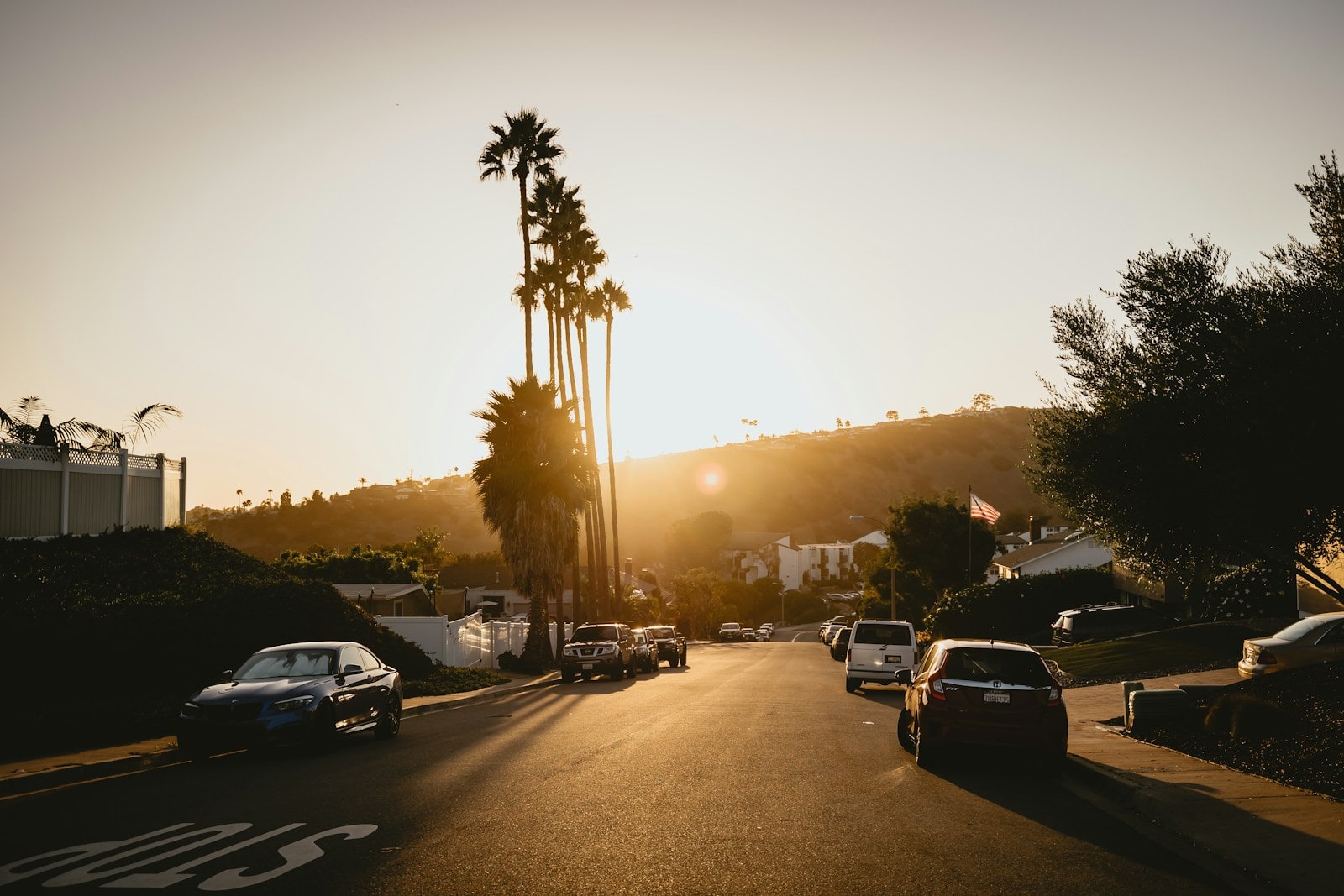 Palm trees silhouetted against a warm San Diego sunset